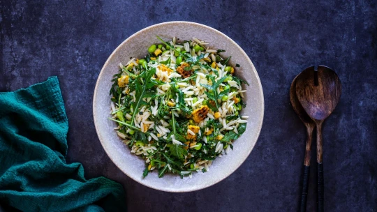 Pestrý barvami, pestrý chutěmi. Orzo salát oživí vaše grilovačky i letní jídelníček
