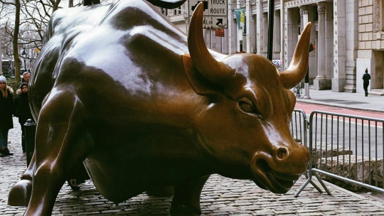 Chcete investovat? Bez těchto pojmů to na burze těžko zvládnete