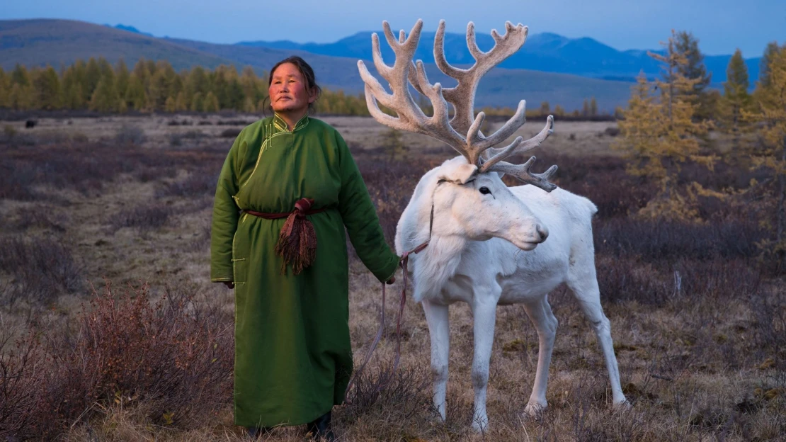 Za posvátným sobem. Tým KVIFF Talents chystá western i psychologickou sondu