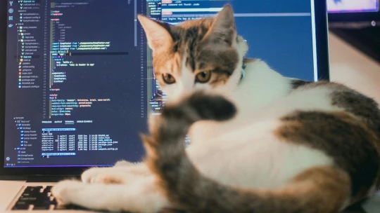 Někdy je nutné celý projekt udělat znova. Umělá inteligence vychází firmy draho