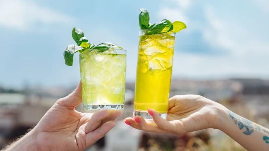 Když bazalka potká gin. Letní drinková romance na ledu