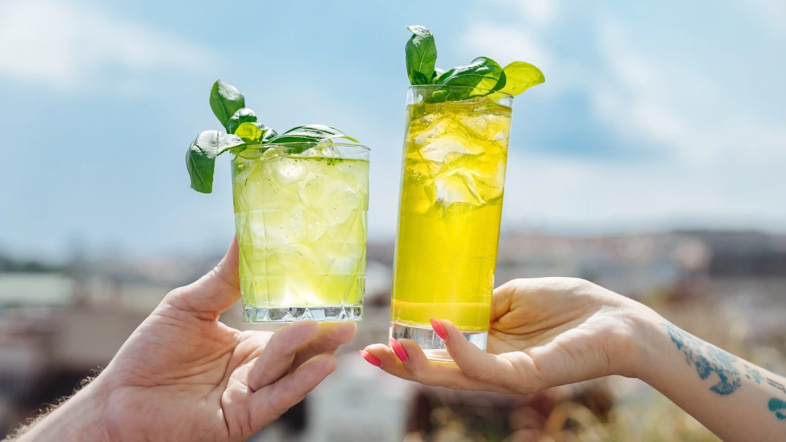 Když bazalka potká gin. Letní drinková romance na ledu