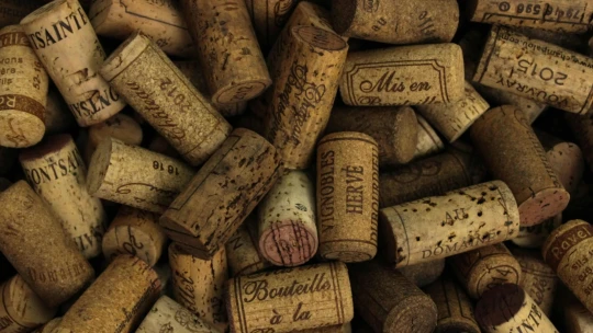 Nezávadný korek jako miliardový byznys. Investice do vína může zachránit AI