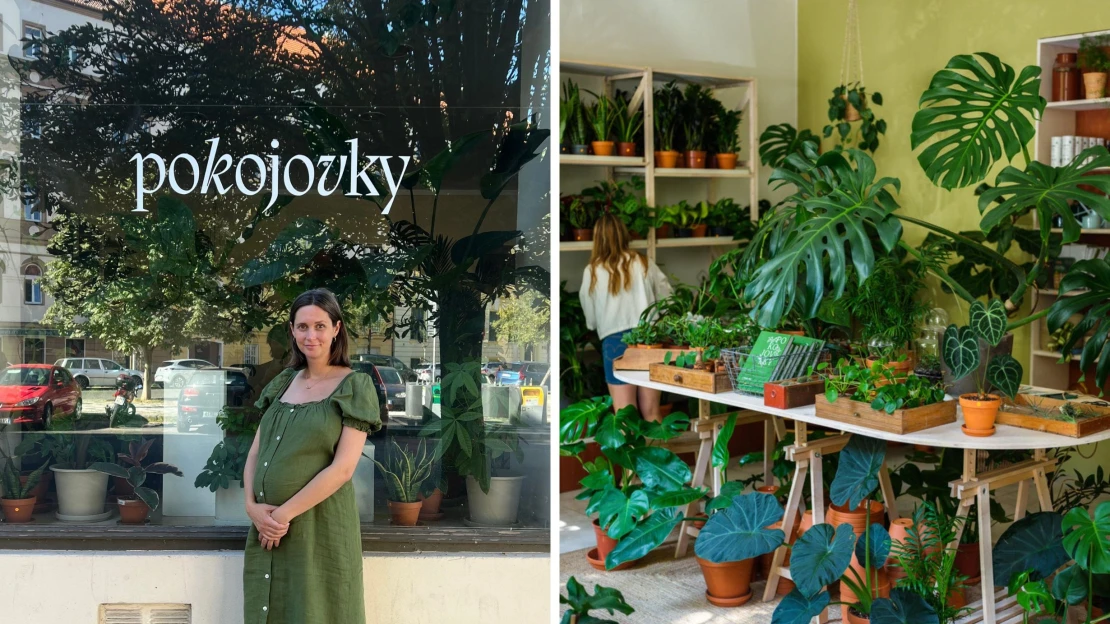 Byly průkopnicemi, teď zavírají obchod. Proč už Pokojovky neprodávají pokojovky?