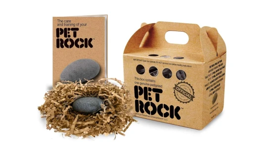 Kameny prodával jako domácí mazlíčky a vydělal miliony. Teď jim propadla Asie