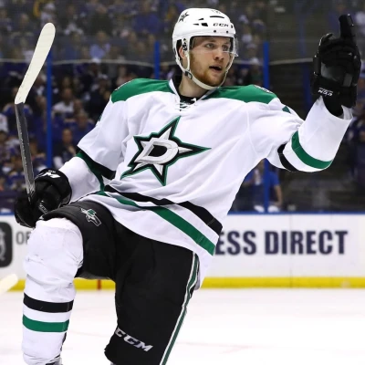 Radek Faksa