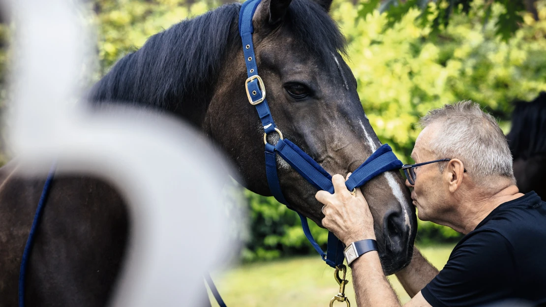 Vsadil na správného koně. Libor Bittner vybudoval na jihu Moravy miliardový klenot