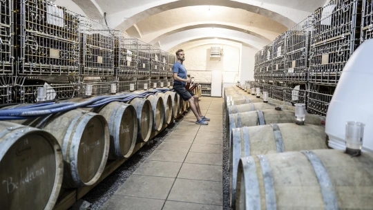 Češi málo pijí. Alkohol nahradili „utopickým“ octem z&nbsp;Vysočiny