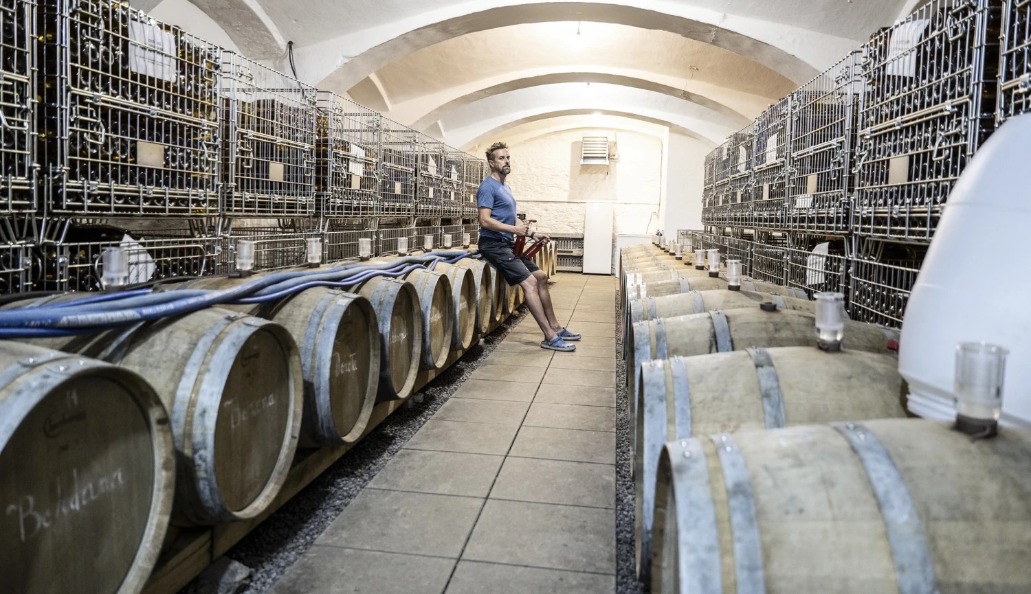 Češi málo pijí. Alkohol nahradili „utopickým“ octem z&nbsp;Vysočiny