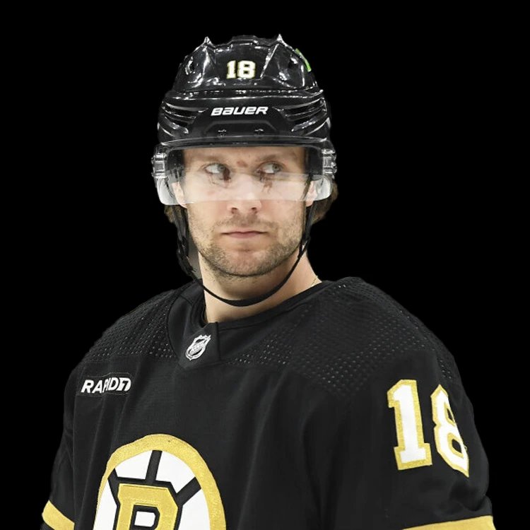 Nejlépe placení hokejisté Česka