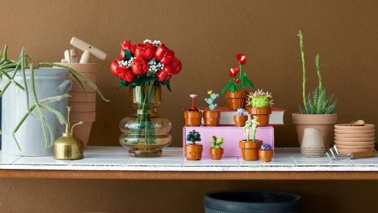 Lego zažívá nejlepší období ve své historii. Pomáhají mu k tomu květiny z kostek