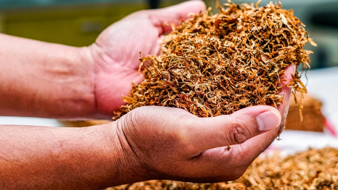 Italové rozkryli nelegální továrnu na cigarety. Majitelé vydělávali v&nbsp;miliardách