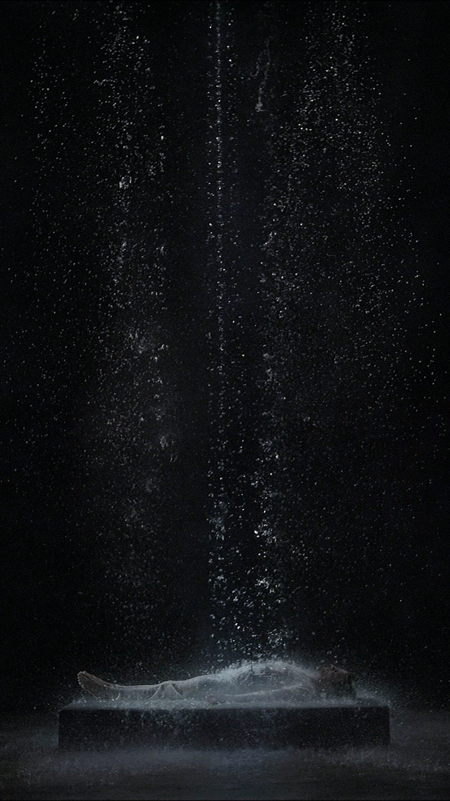 Bill Viola – Tristan_s Ascension