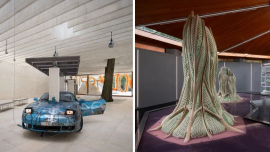 Ženy, sinice a finský manifest. Co neminout na letošním bienále architektury?