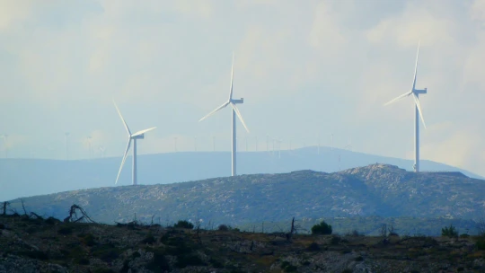 Udržitelnost už není nadávka. Průzkum ukazuje, že ji firmy berou jako investici