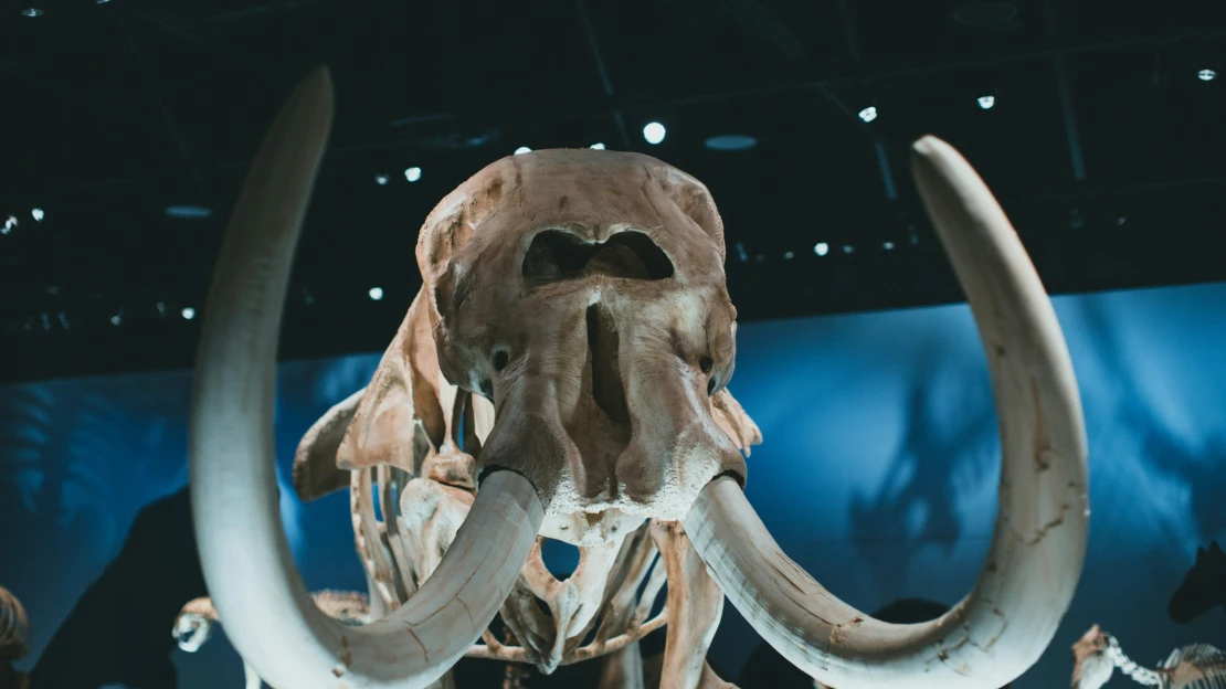 Startup, který chce oživit vyhynulá zvířata, získal další miliony. Přispěl i Peter Jackson