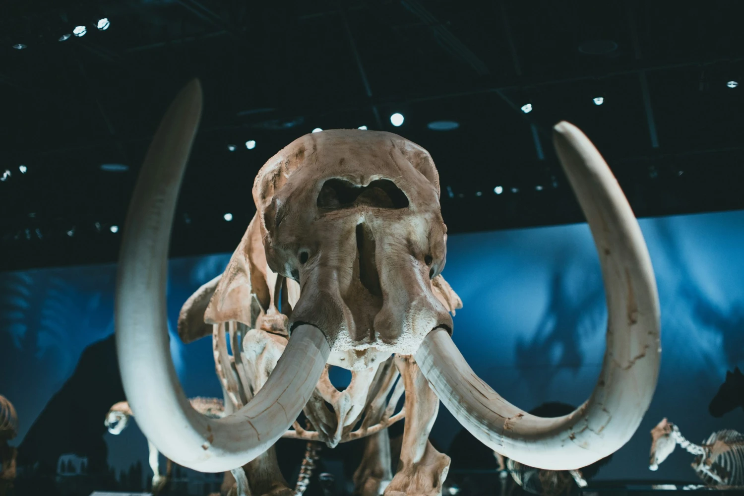 Startup, který chce oživit vyhynulá zvířata, získal další miliony. Přispěl i Peter Jackson