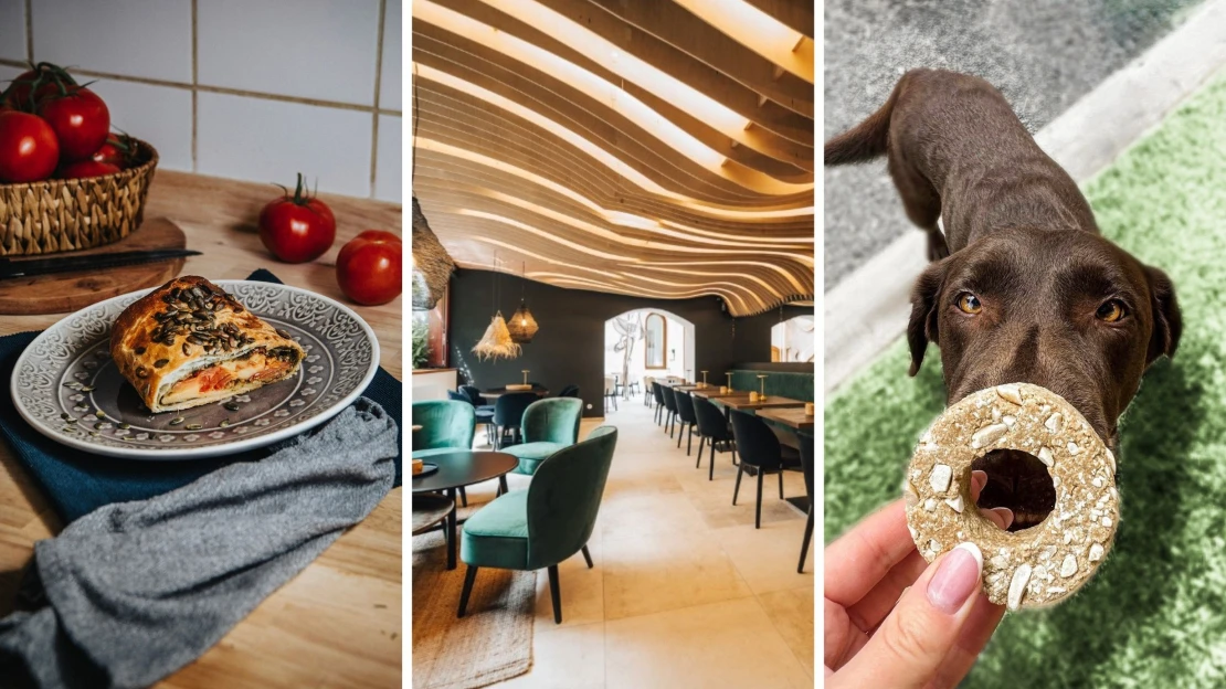 Štrúdl, matcha i butikové dortíky. Olomoucké gastro oživily nové podniky