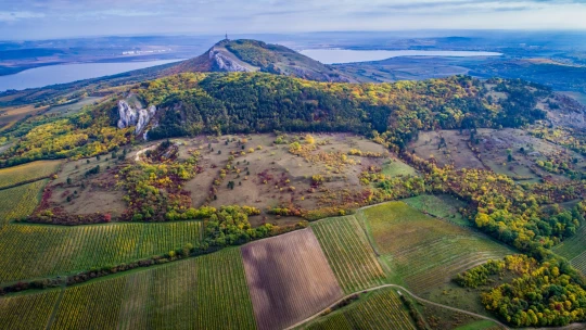 Přes Emiráty na Pálavu. Jak se Vinařství Volařík stalo českým rekordmanem