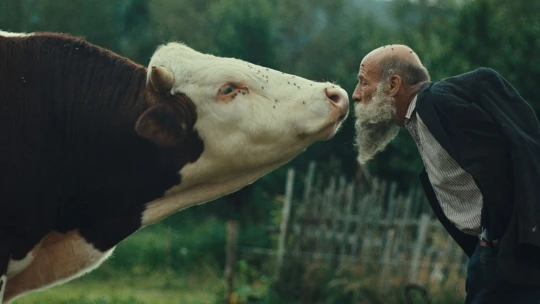 Raději zešílet v divočině: Měla to být oslava života, vše změnila smrt, říkají tvůrci