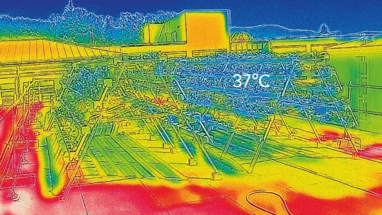 Zelená inovace. Salát, který chladí střechy i&nbsp;klimatickou krizi