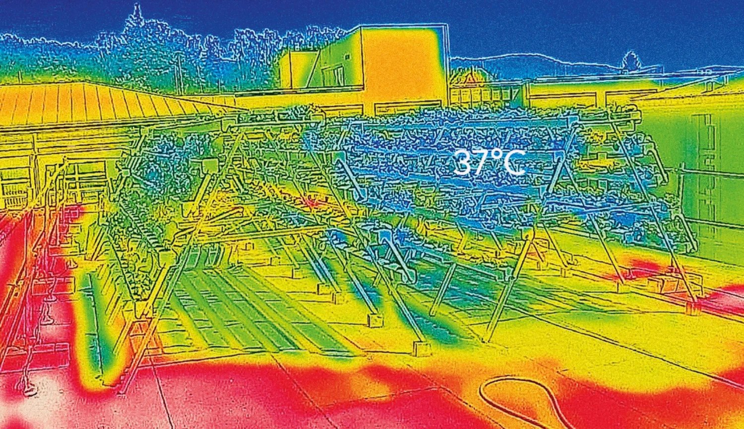 Zelená inovace. Salát, který chladí střechy i klimatickou krizi