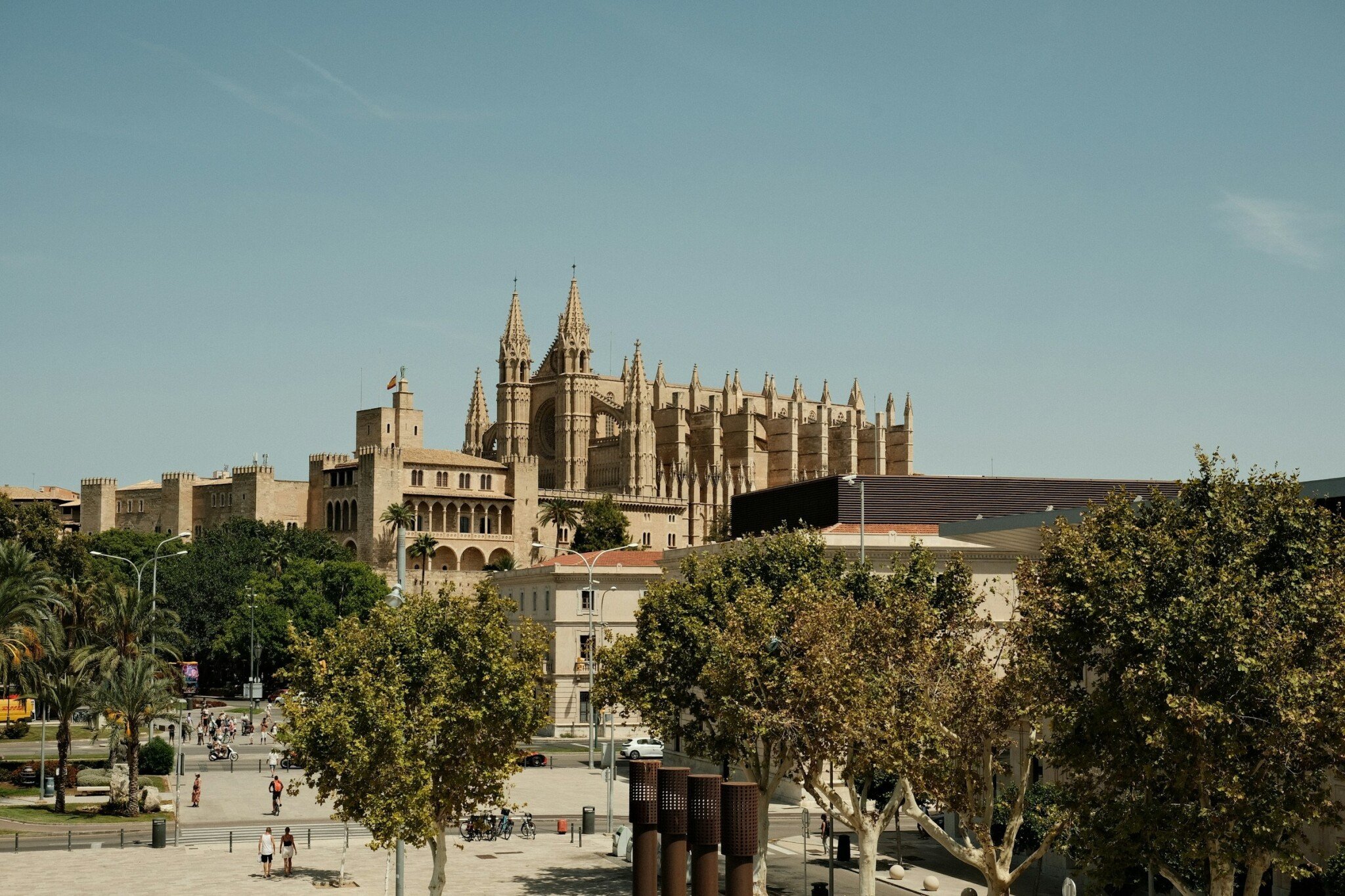 Palma