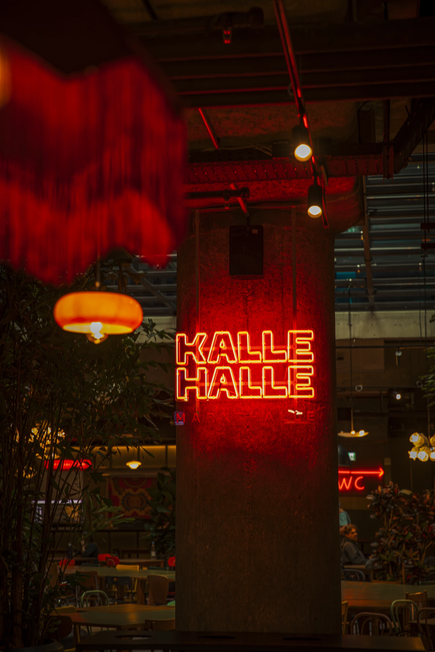 Kalle Halle