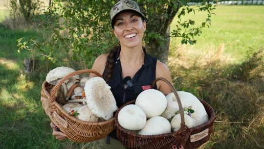 Češi jsou jako hřiby. Jak Lucie Drozdová tvoří z houbaření lukrativní byznys