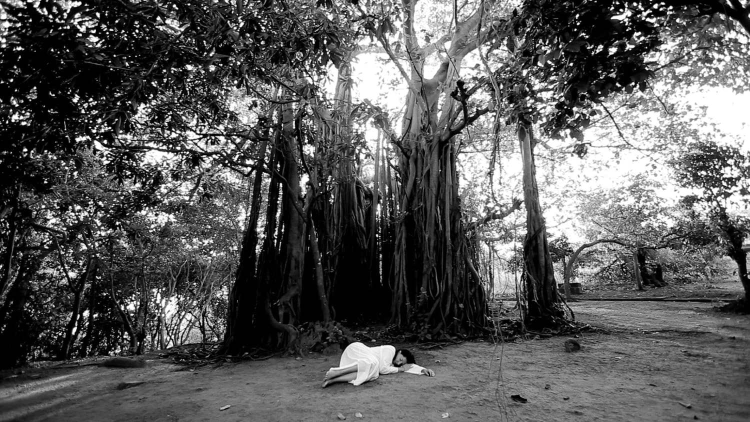 Marina Abramović Sleeping Under the Banyan Tree, 2010