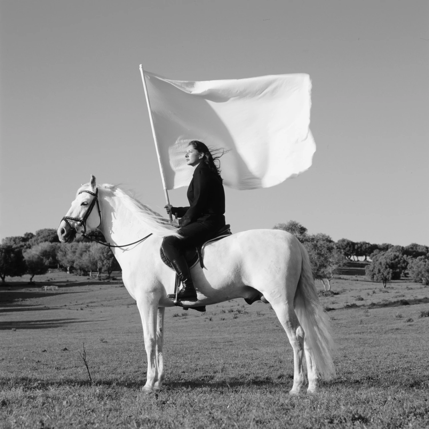 Marina Abramović The Hero, 2001