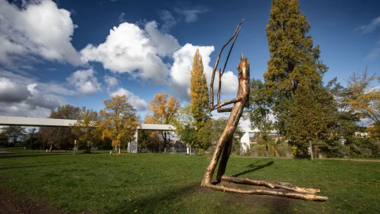 Dočasná dominanta i silný apel. Na Štvanici zakotvila socha Krištofa Kintery