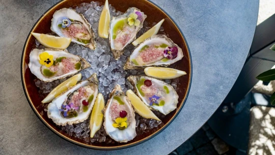 Podzim v detailu chuti. Francouzské ústřice i delikátní zvěřina na menu