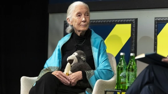 Neřešte vše, změňte své okolí, vyzvala Jane Goodall v&nbsp;jednom z&nbsp;posledních rozhovorů