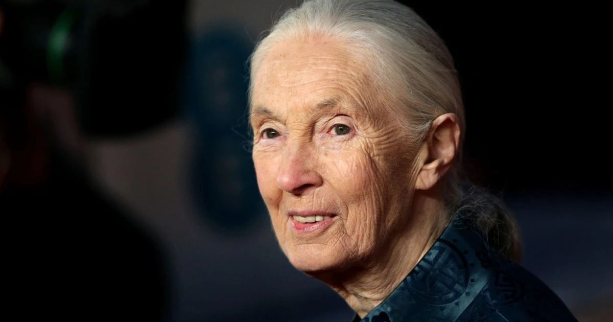 Goodbye, Jane Goodall. Ikona světové vědy i ochrany přírody zemřela ve věku 91 let