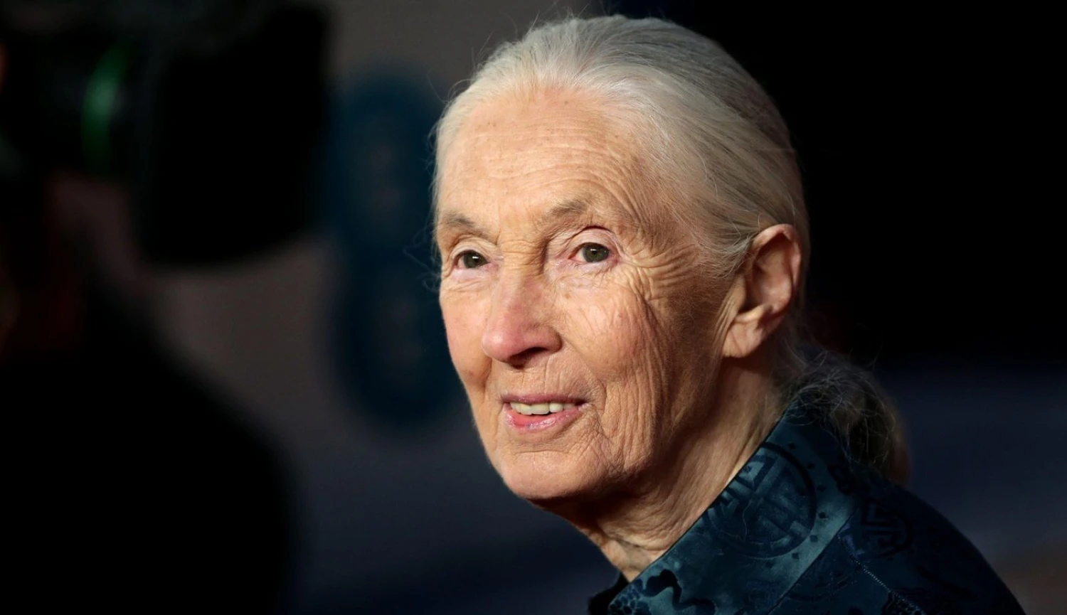 Goodbye, Jane Goodall. Ikona světové vědy i ochrany přírody zemřela ve věku 91 let