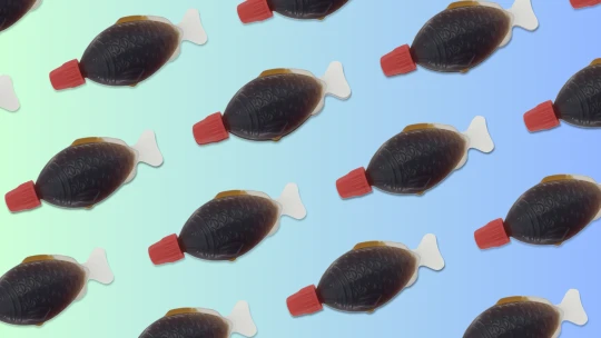 Na rybu s rybičkou. Jak ikonické lahvičky na sójovou omáčku zaplavily svět