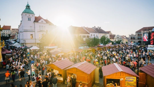 Během vinobraní protékají městy stamiliony. Mladé netáhne víno, ale kultura
