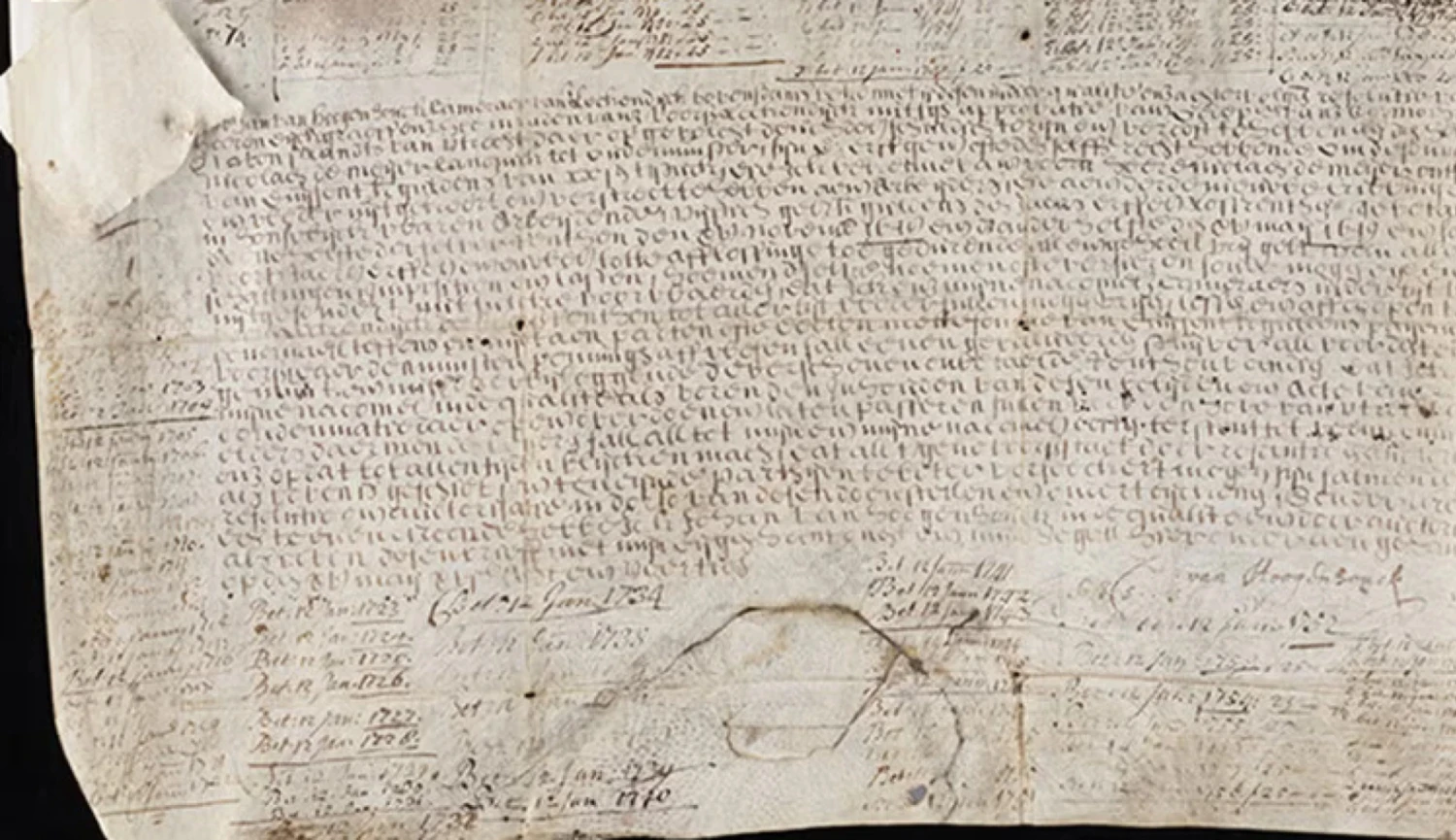 Palec nahoru. Příběh o vášni, bolesti a opiu rozjel obří dinosauří byznys