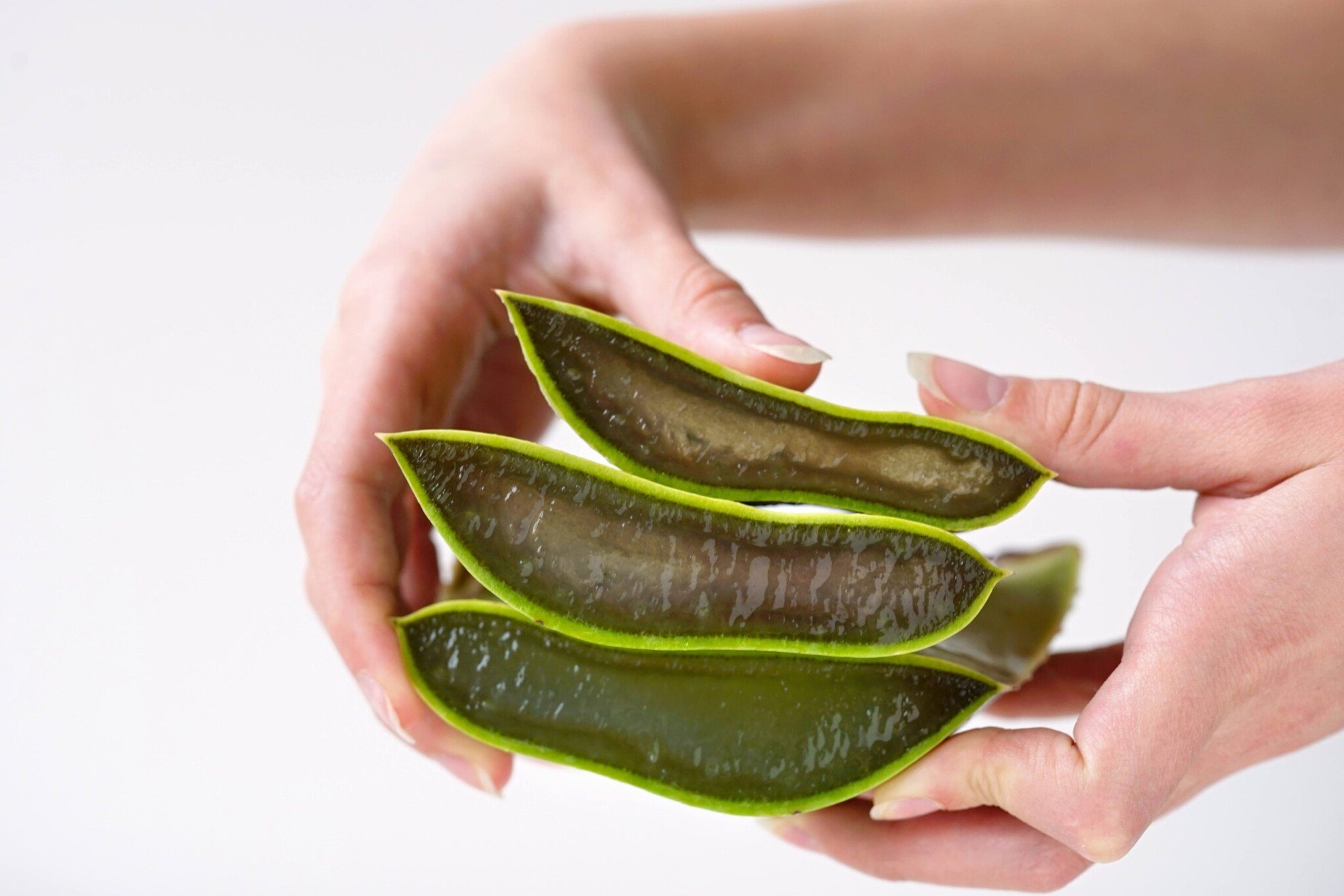 Aloe nejen na pleť. Domácí elixír je plný vitaminů a antioxidantů