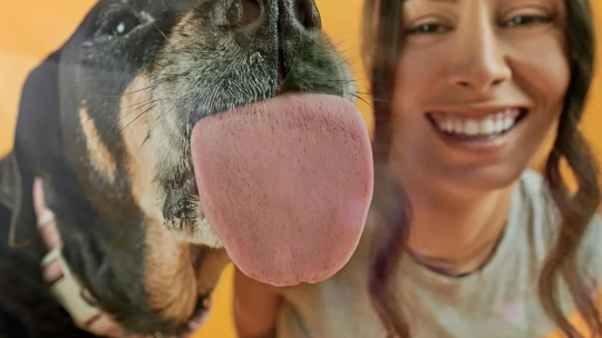 Vědkyně z Oxfordu bojuje proti stárnutí psů. Od investorů vybrala miliony dolarů