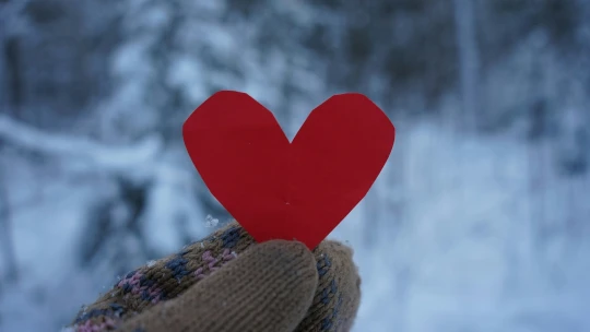 Ranní výběr: Dobré zprávy do adventu