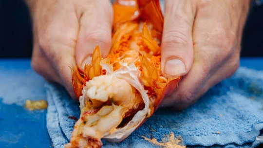 Ranní výběr: Kolik másla potřebujete na náklaďák humrů a&nbsp;co bylo letos billionaire chic?