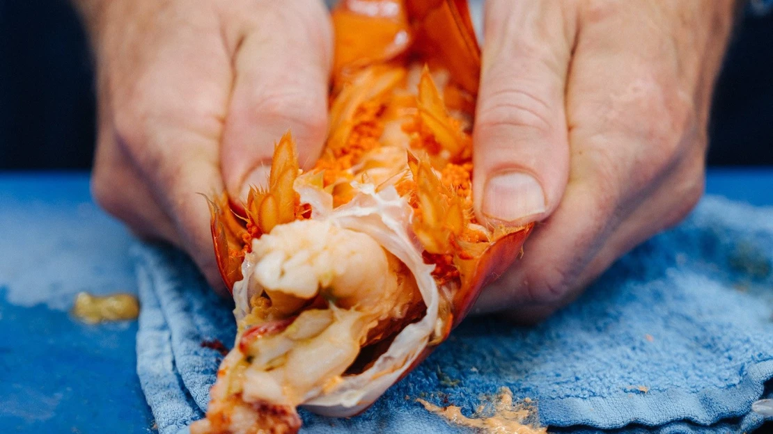 Ranní výběr: Kolik másla potřebujete na náklaďák humrů a&nbsp;co bylo letos billionaire chic?