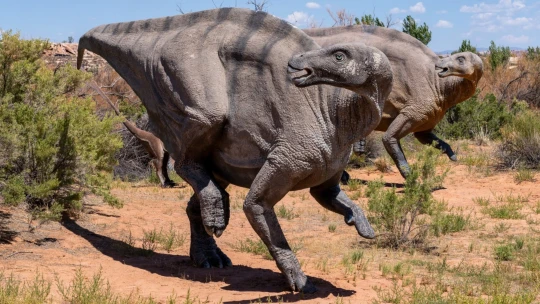 Palec nahoru. Příběh o vášni, bolesti a opiu rozjel obří dinosauří byznys