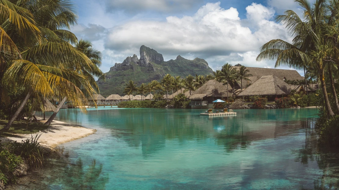 Závod v&nbsp;triatlonu, přeplout Atlantik. O čem sní čeští šéfové, když zrovna nepracují? 