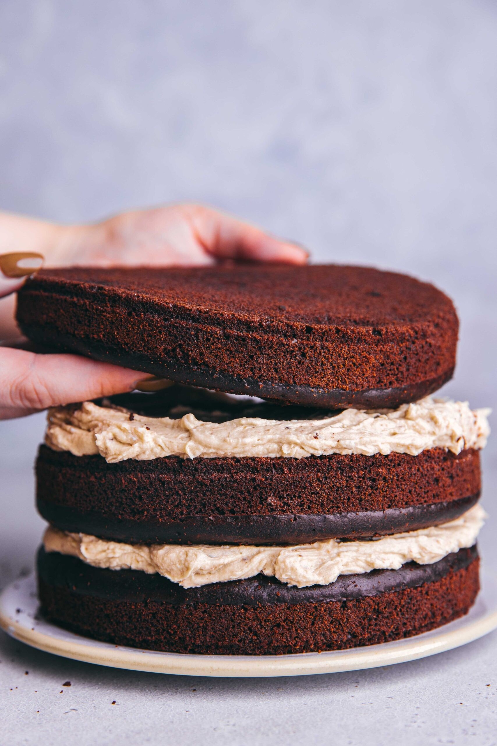 Dortová verze pečených kaštanů. Jemná, hebká & čokoládová