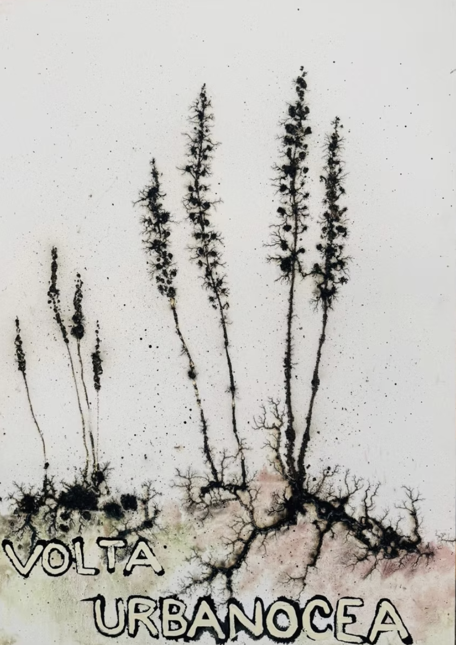 Krištof Kintera, z výstavy Míza