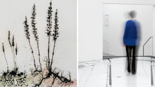 Umění vládne Paříž, staří mistři a malby. Co nového přinesl uplynulý měsíc?