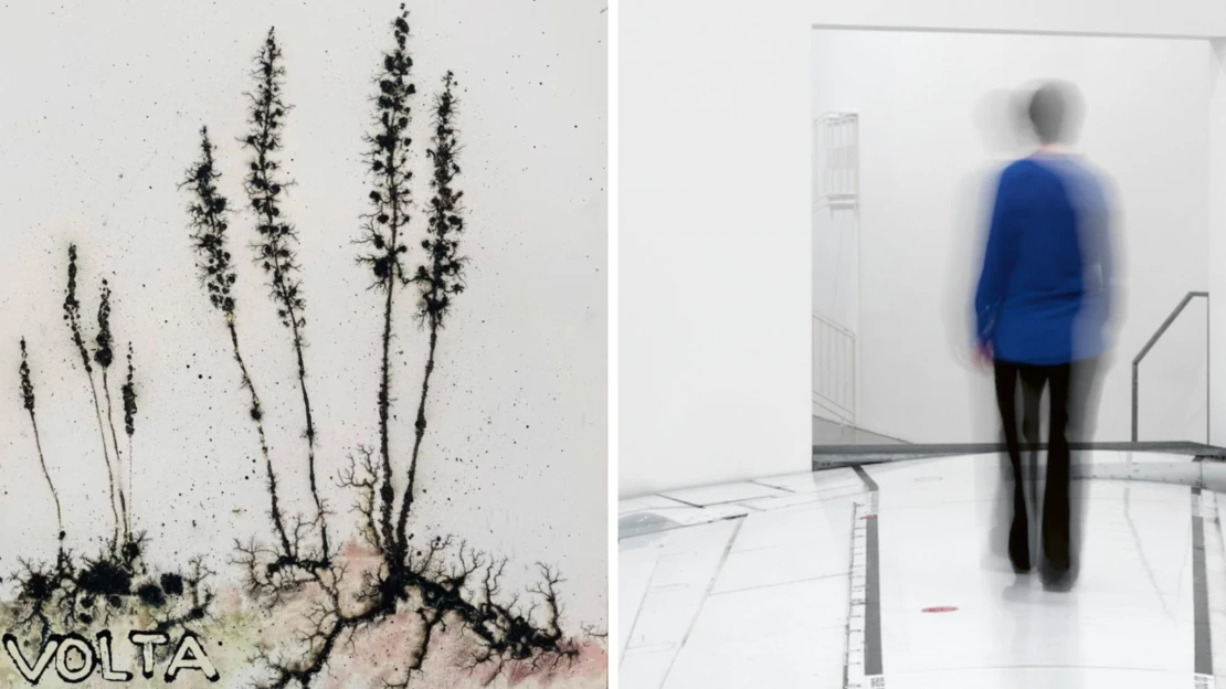 Umění vládne Paříž, staří mistři a malby. Co nového přinesl uplynulý měsíc?